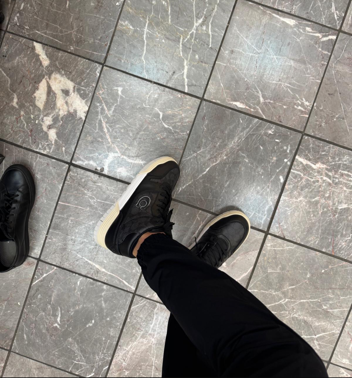 COACH® | Soho Mid Top Sneaker