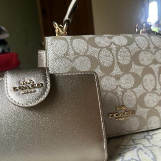 Medium Corner Zip Wallet In Signature Canvas With Jumbo Floral
