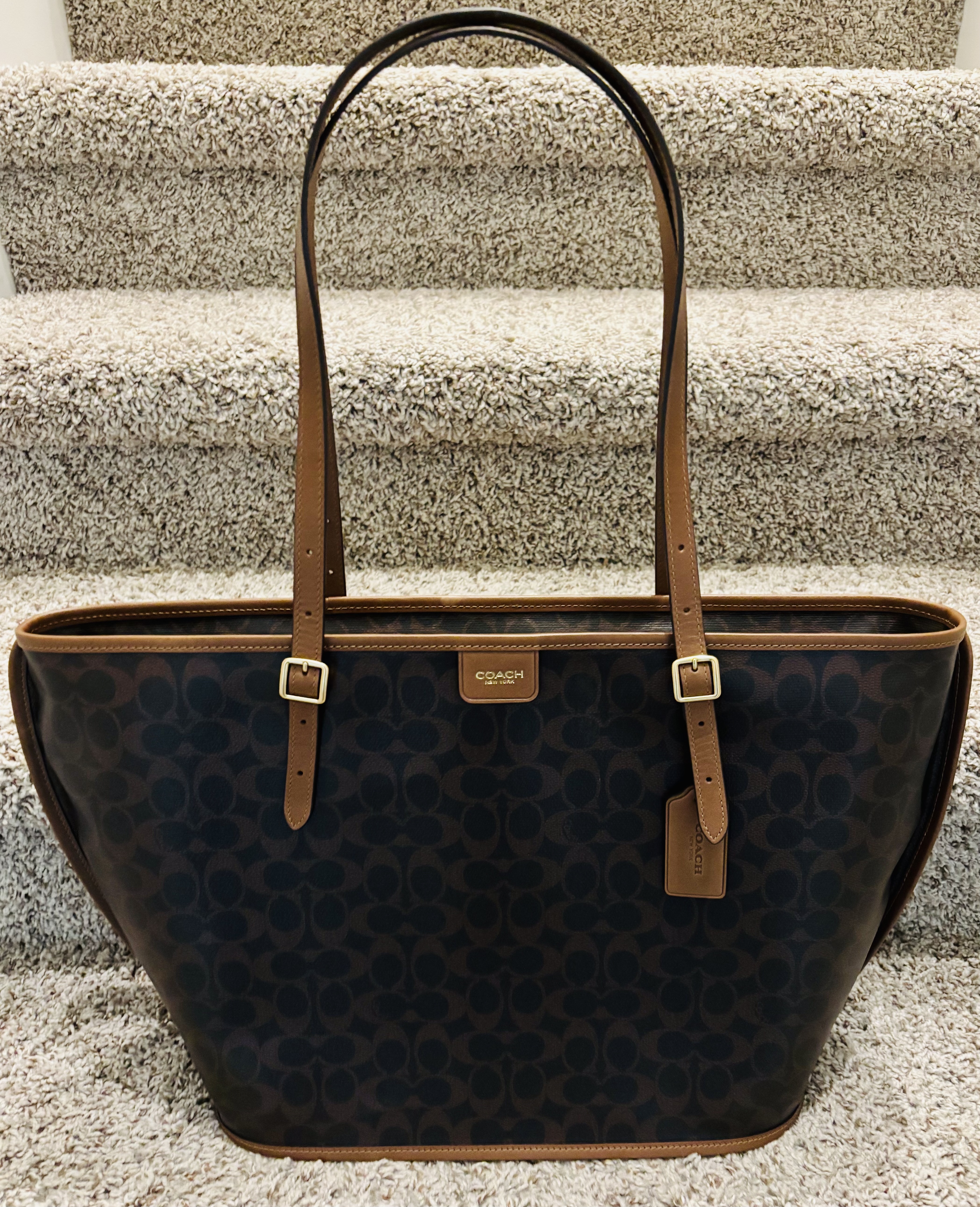 Taxi Tote Bag In Signature Canvas | COACH®