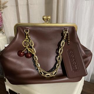 Xl Hangtag Bag Charm | COACH®