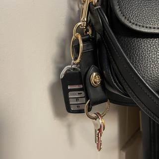 Trigger Snap Bag Charm | Accessories | Coach | COACH®