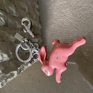 Bunny Bag Charm | Accessories | Coach | COACH®