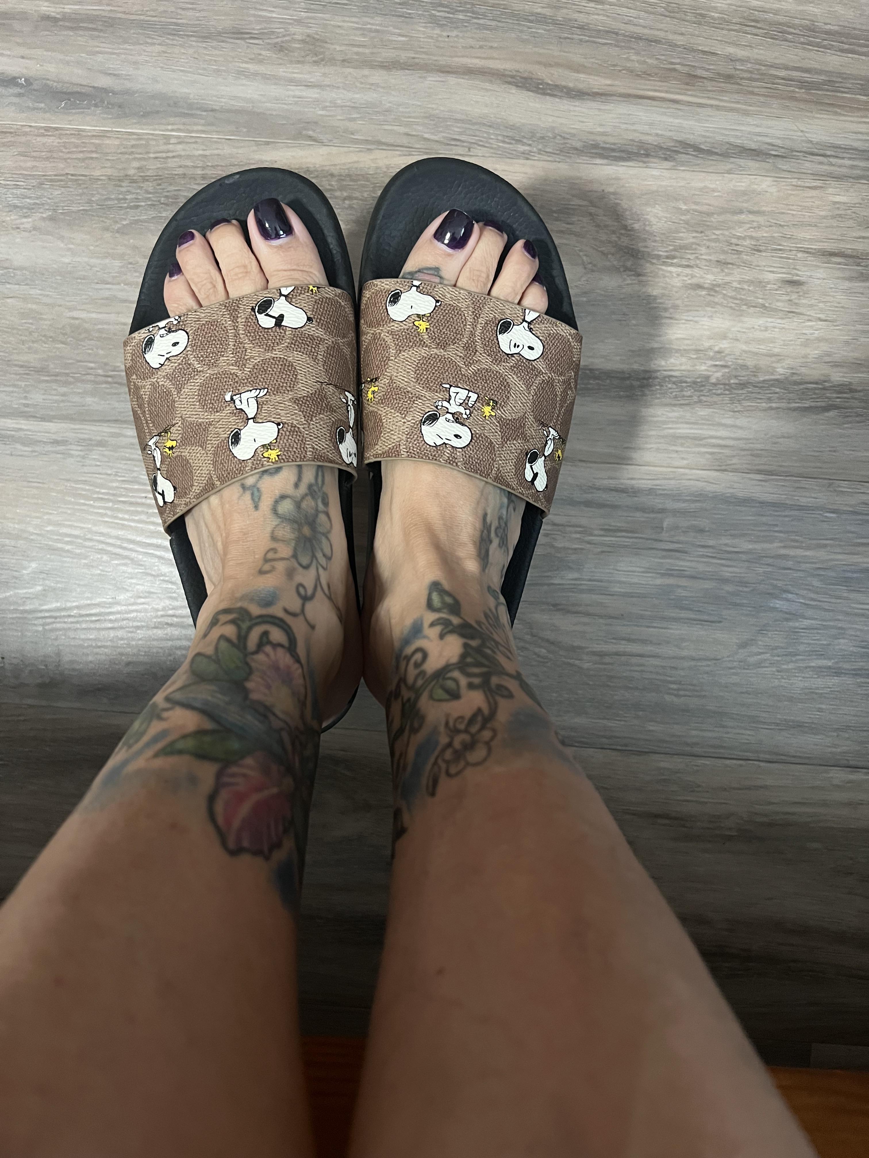 Coach X Peanuts Pool Slide In Signature Canvas With Snoopy Print