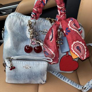 Corner Zip Wristlet In Signature Denim | Wristlets | Coach | COACH®