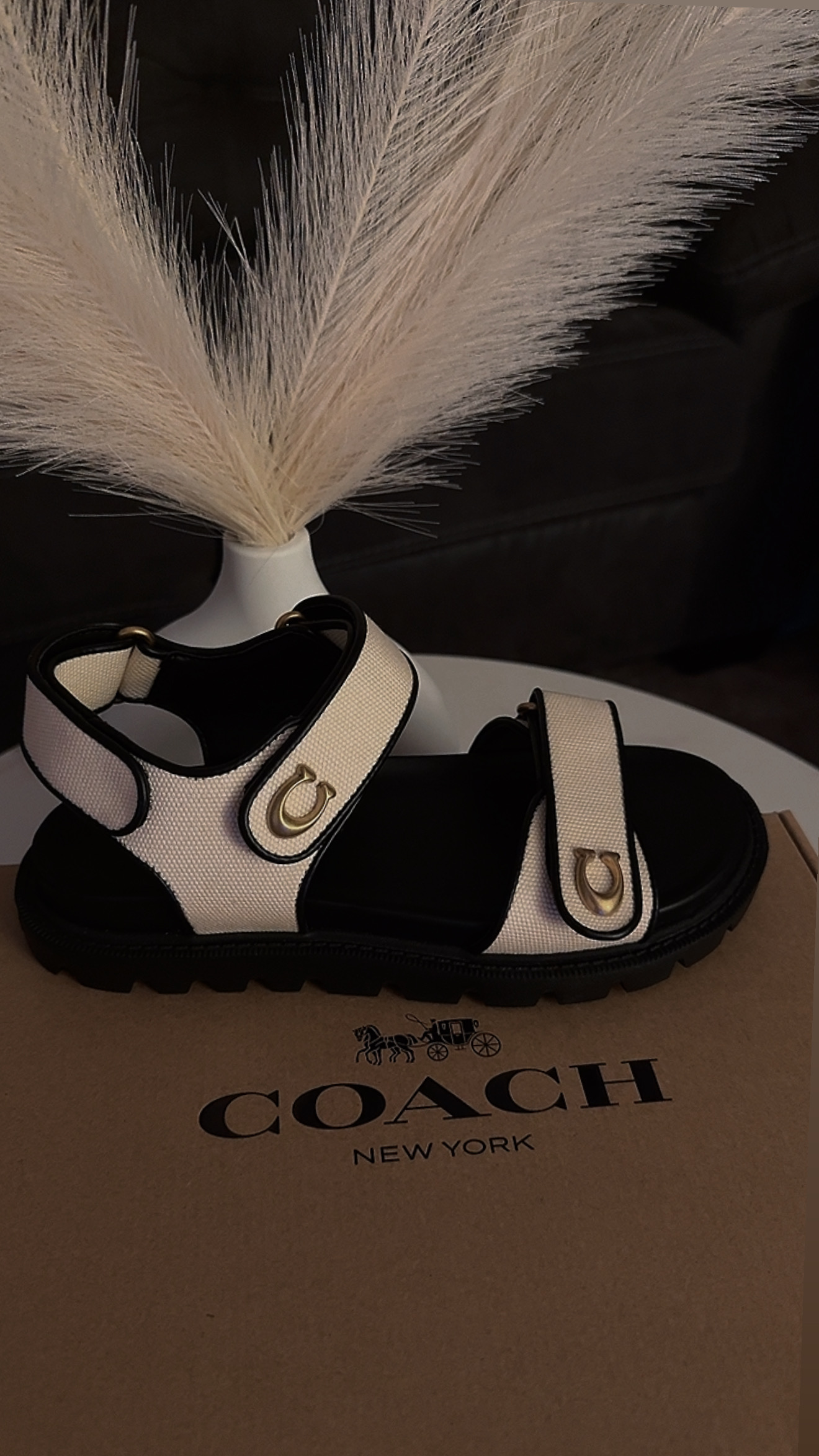 Brynn Raffia Sandal | Other Shoes | Coach | COACH®