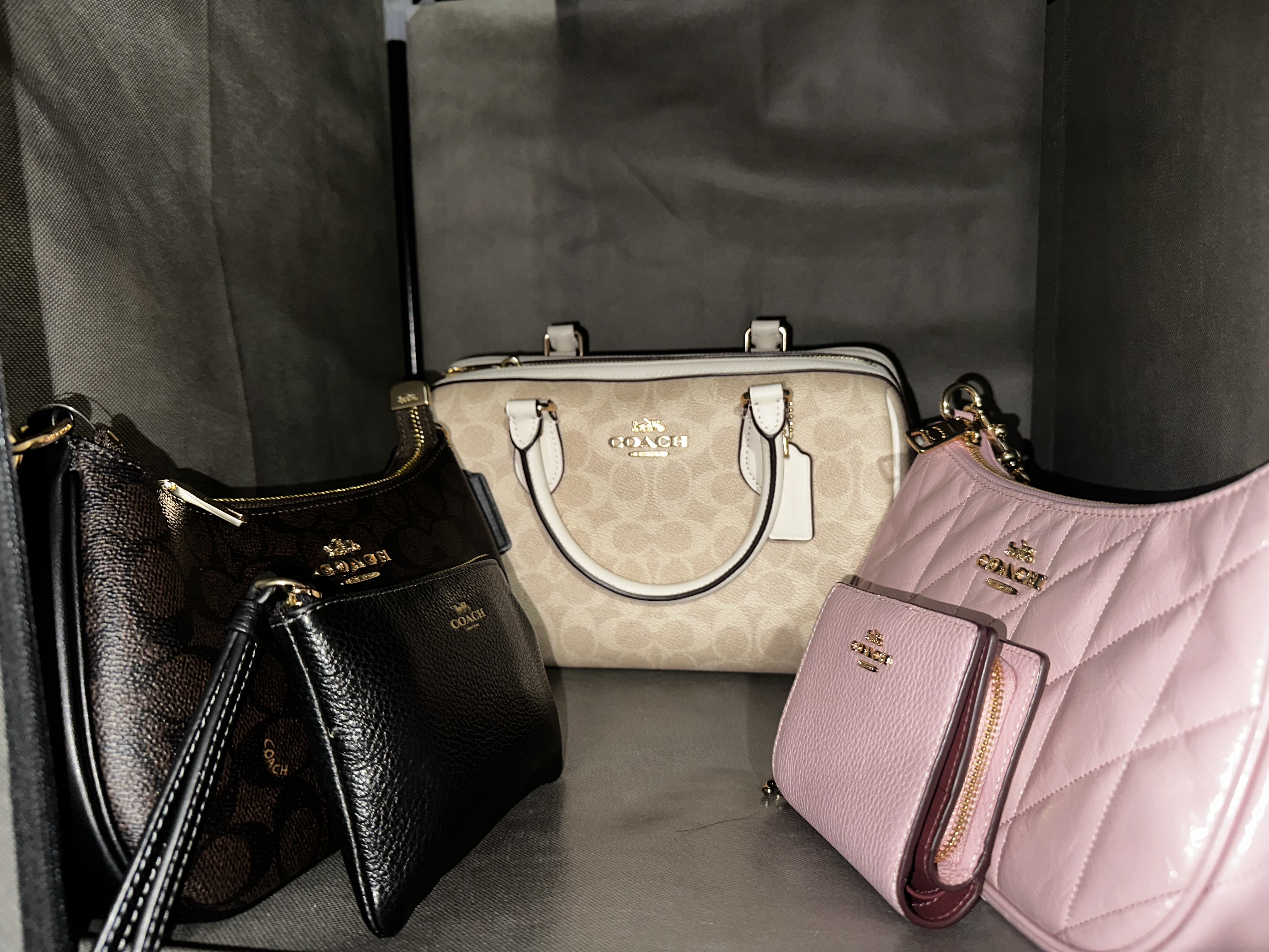 Teri Shoulder Bag In Signature Canvas | Bags | Coach | COACH®