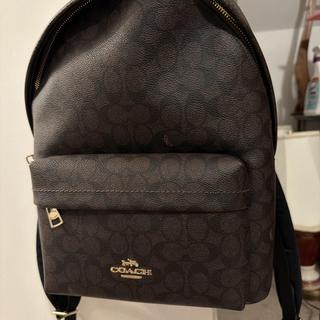 Taylor Small Backpack In Signature Canvas With Charms | Bags