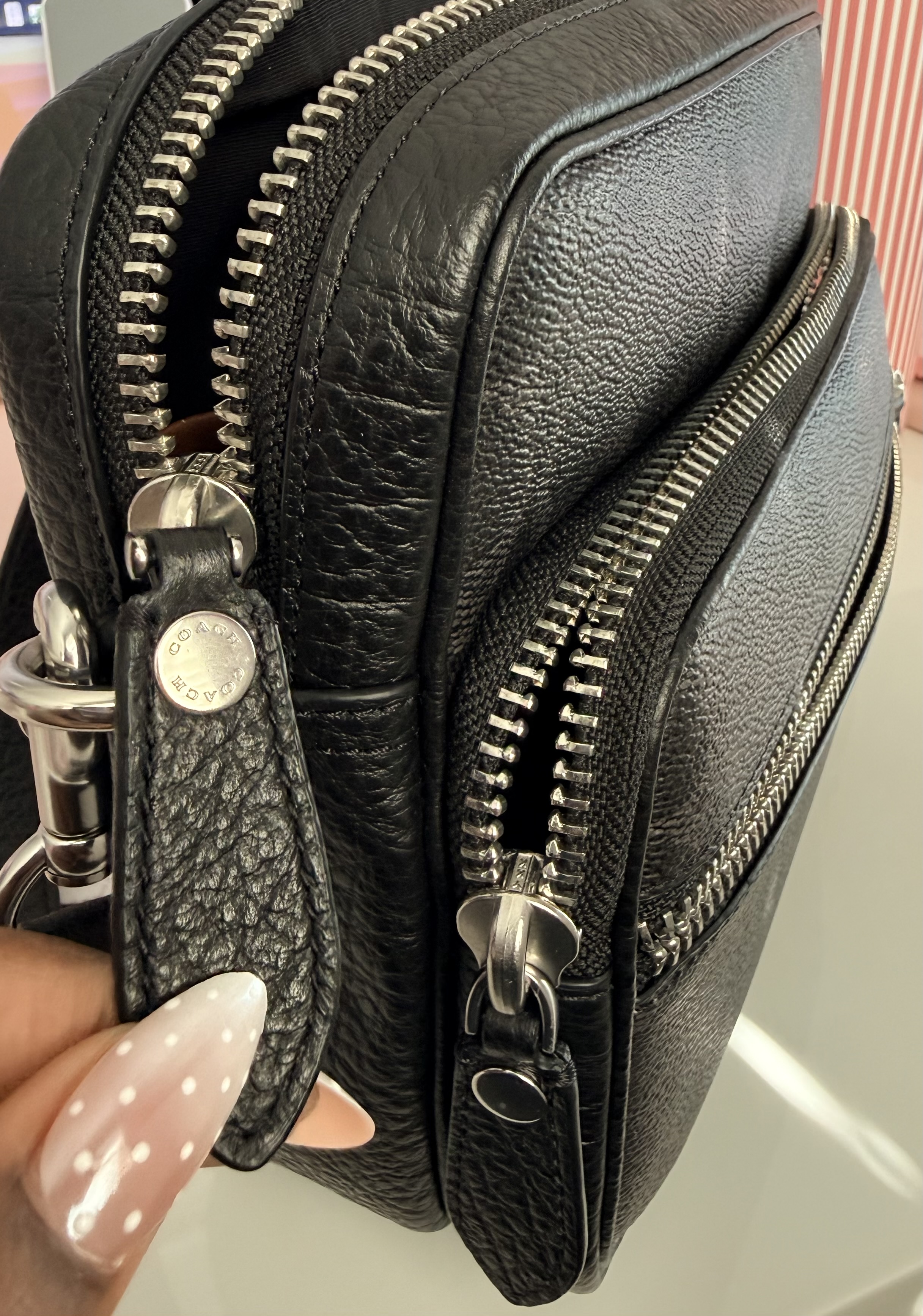Rexy 10th Birthday Dakota Crossbody Bag In Loved Leather With