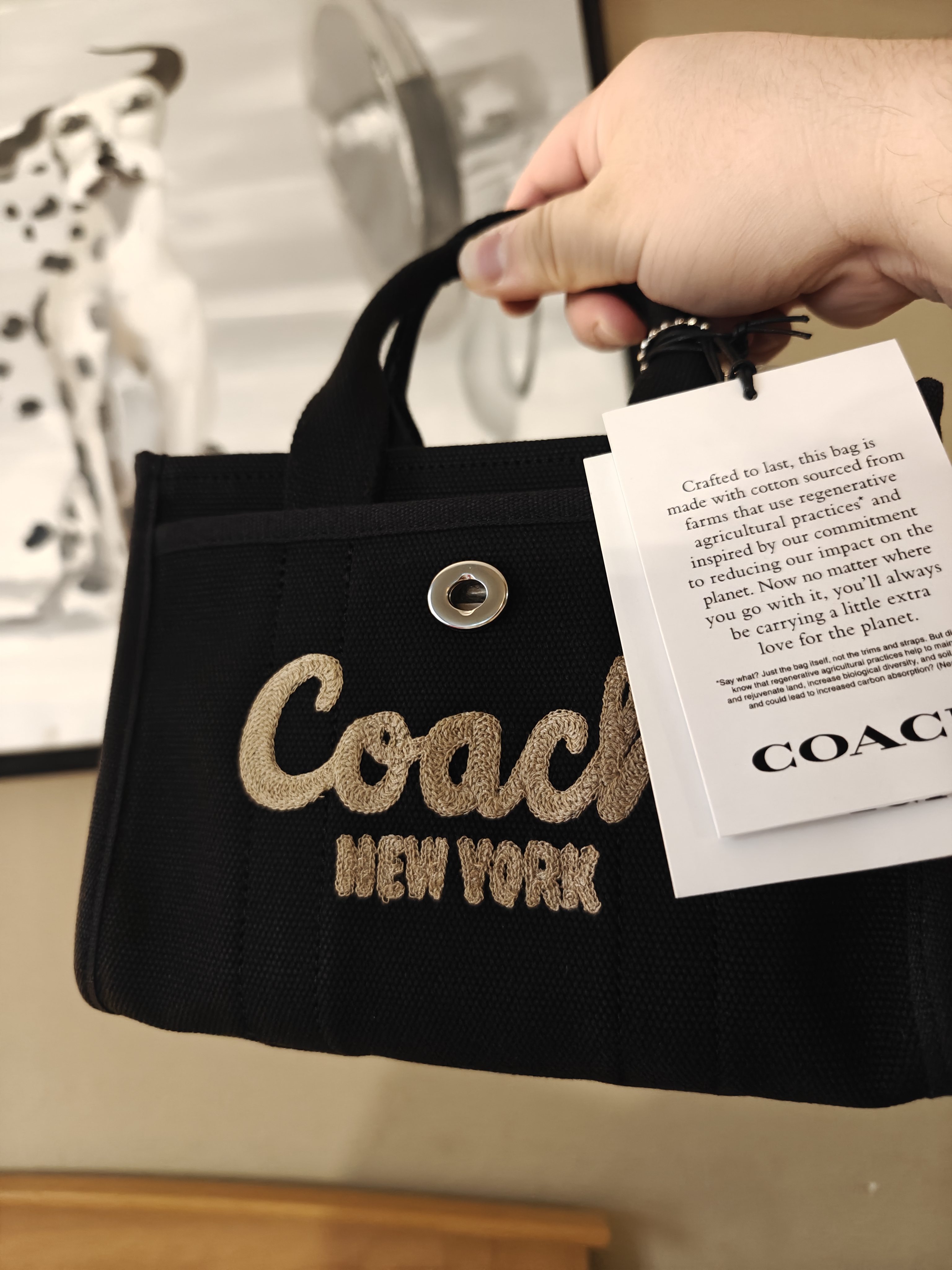 COACH® | Cargo Tote Bag 20