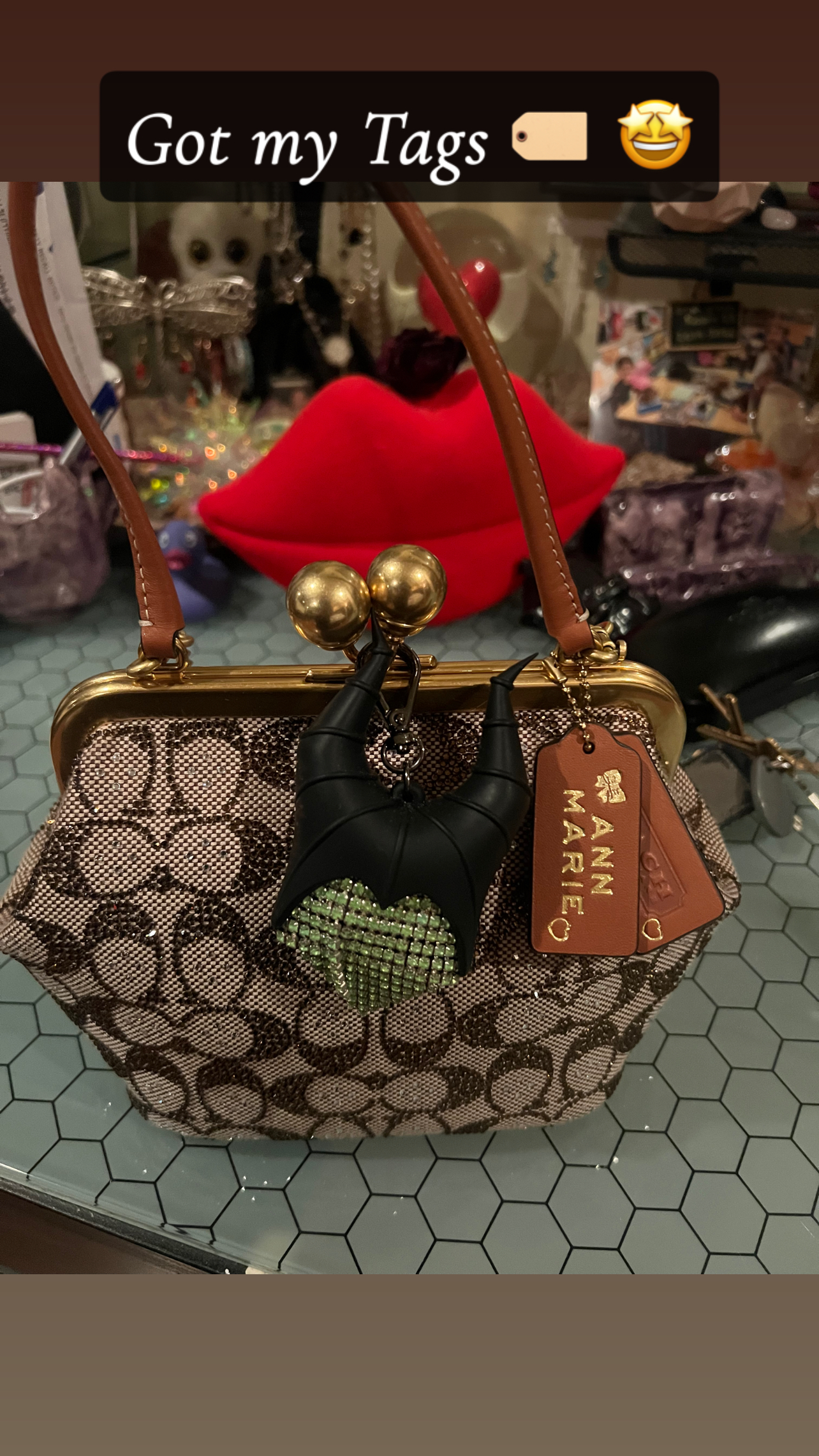 russet ❀ COACH　２点 COACH® | Kisslock Frame Bag 16