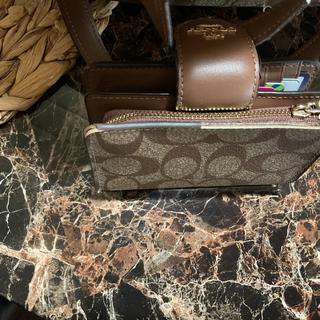 Medium Corner Zip Wallet In Signature Canvas With Jumbo Floral