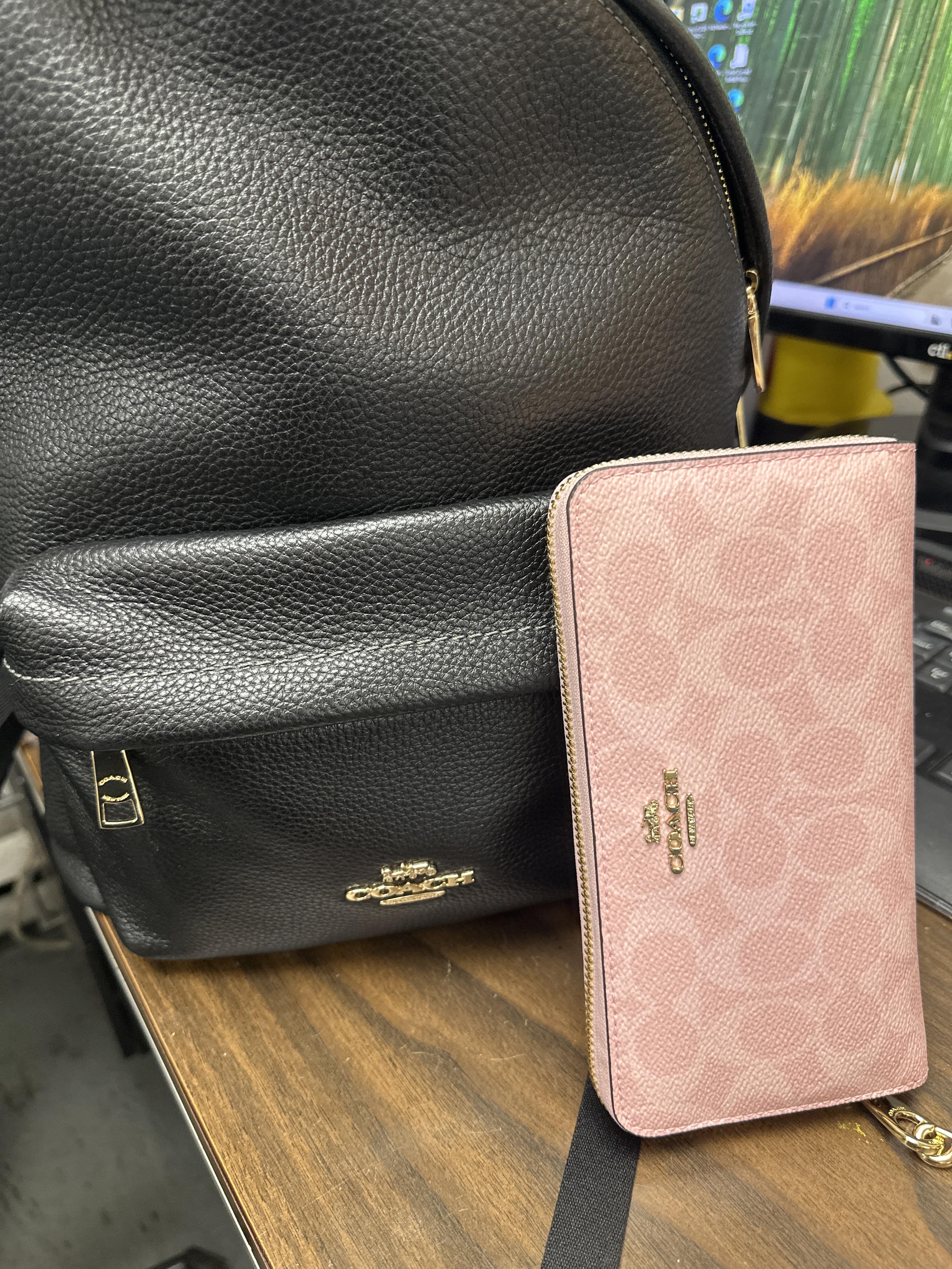 Long Zip Around Wallet In Signature Canvas With Coach Graphic
