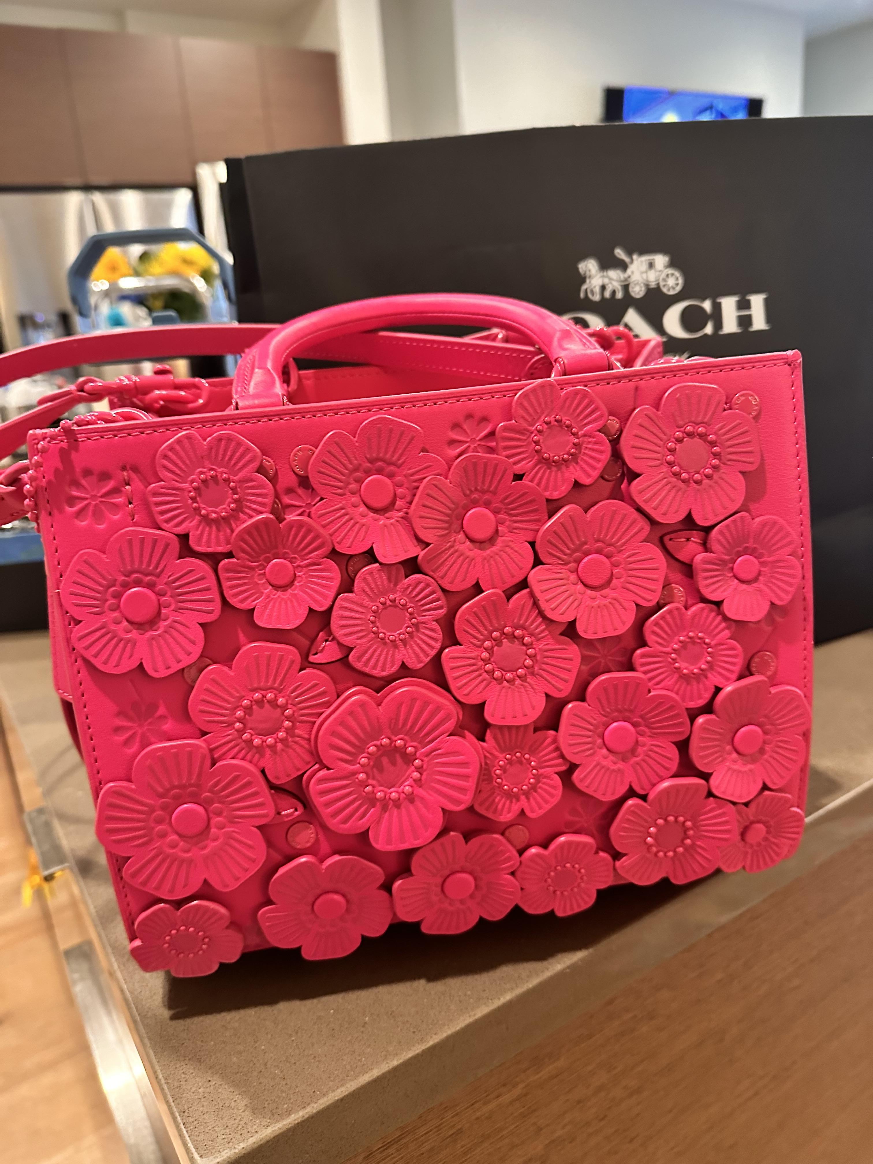 COACH  うりぼう Coach X Kōki, Rogue Bag 25 In Original Natural Leather With Pansy