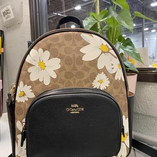 Court Backpack In Colorblock | COACH®