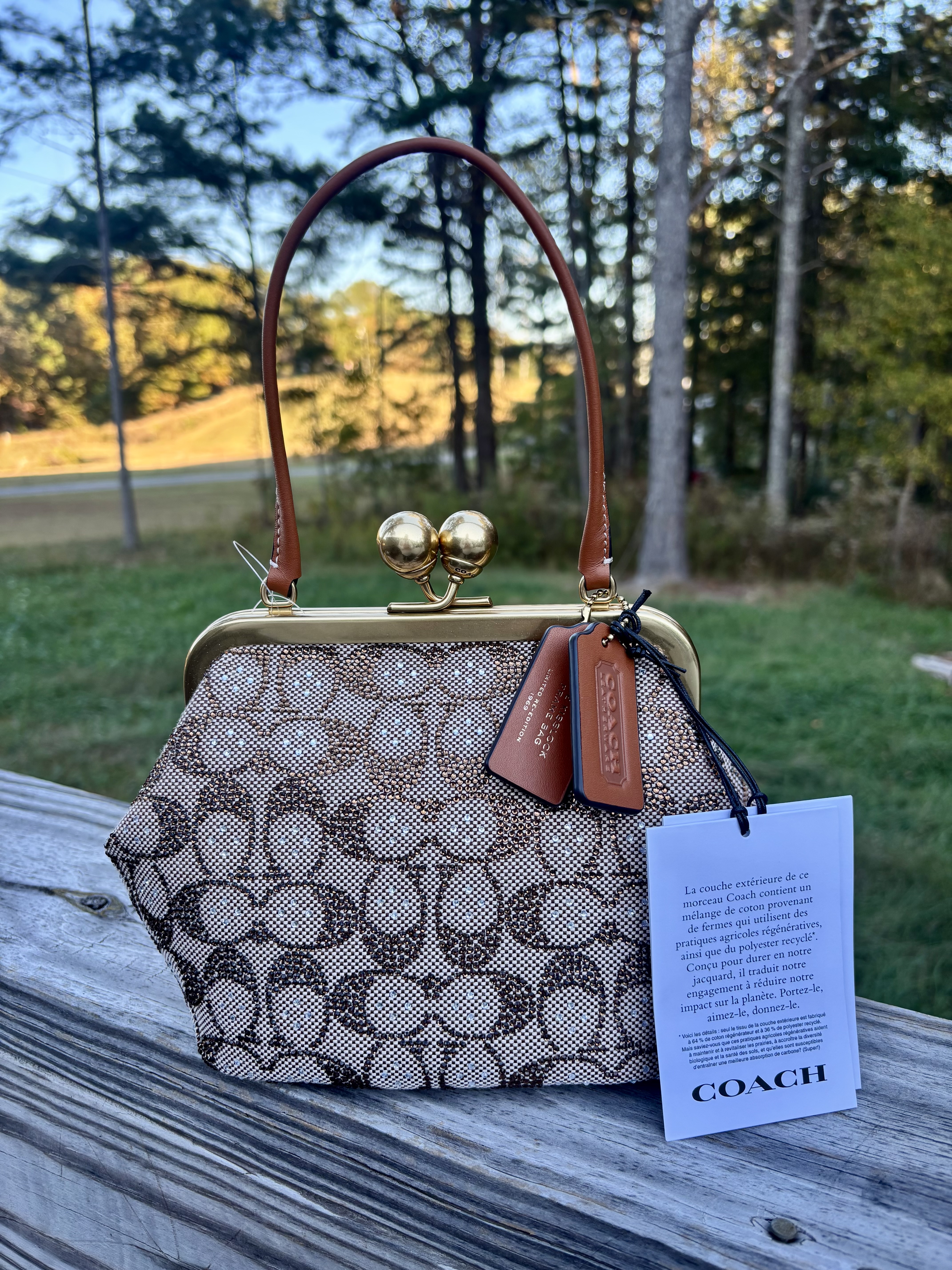 COACH® | Kisslock Frame Bag 16 In Crystal Signature Jacquard