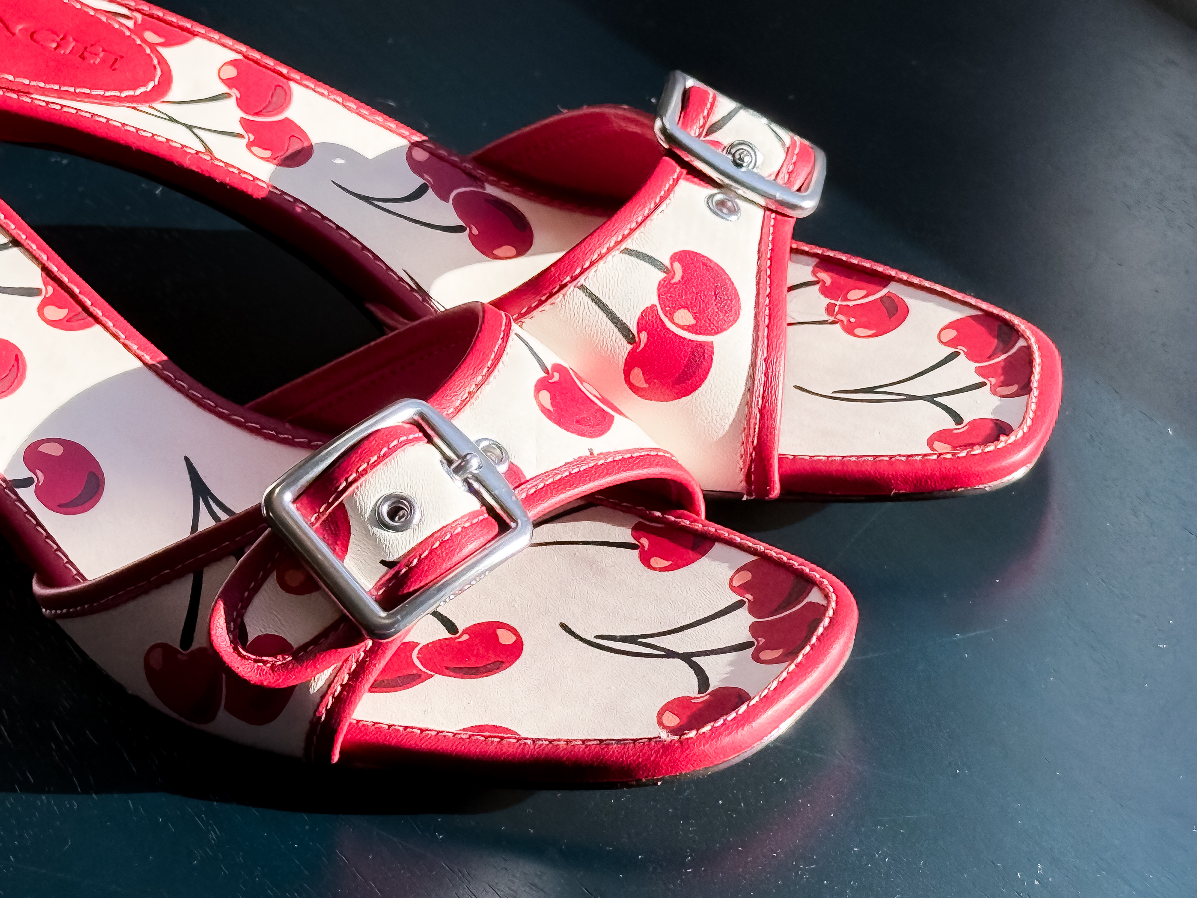 コーチ Margot Sandal With Cherry Print COACH® | Margot Sandal With Cherry Print