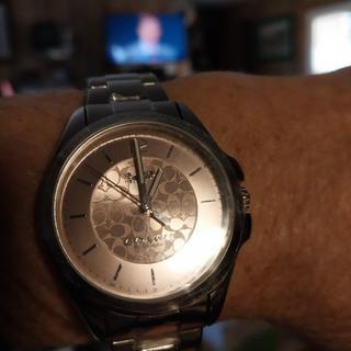Libby Watch, 37 Mm | COACH®