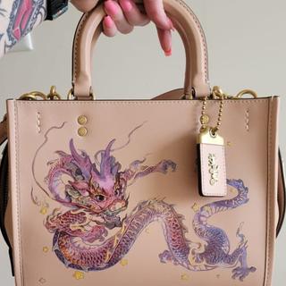 Coach X Kōki, Rogue Bag 25 In Original Natural Leather With Pansy
