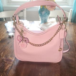 超希少✨COACH Tea Rose Mix Bag Charm TTIMPORTER_1717605024810_PZ320.jpg