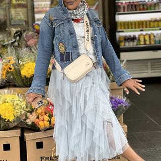 Crossbody Belt Bag In Coachtopia Leather | Bags | Coach | Coachtopia ™