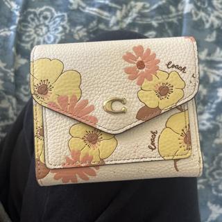 Colorblock Coated Canvas Signature Wyn Small Wallet | COACH®