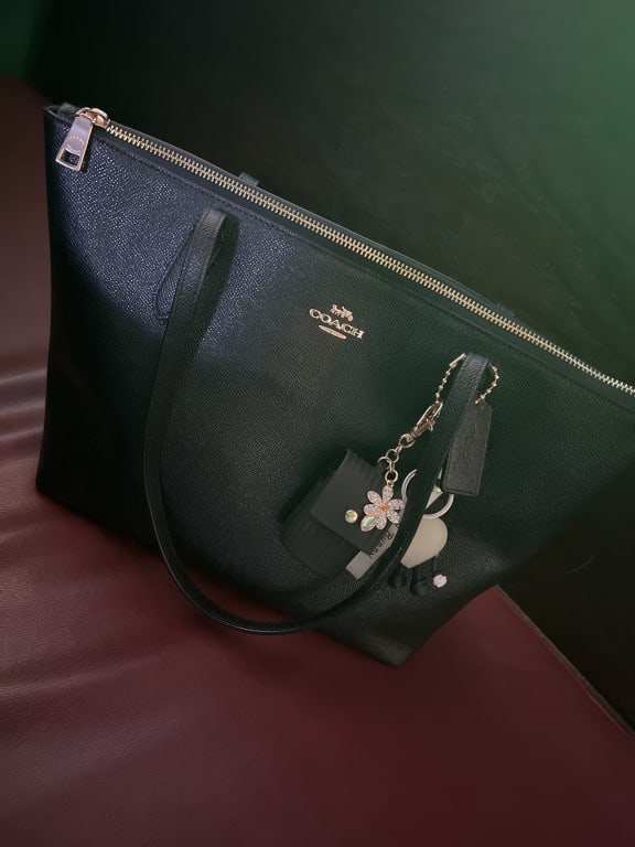 Zip Top Tote Bag In Signature Canvas | Bags | Coach | COACH®