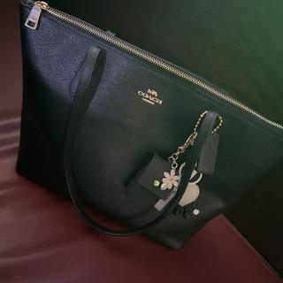 Zip Top Tote Bag In Signature Canvas | Bags | Coach | COACH®