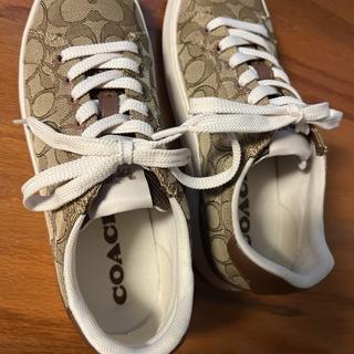 Coach X Peanuts Clip Low Top Sneaker In Signature Canvas With