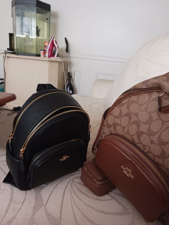 court mini backpack Coach In Signature Canvas Martin Institute Point Foundation and CenterLink Community of LGBTQ Centers to create supportive environments where LGBTQIA+ young people can thrive Court Backpack Coach Backpack Outlet