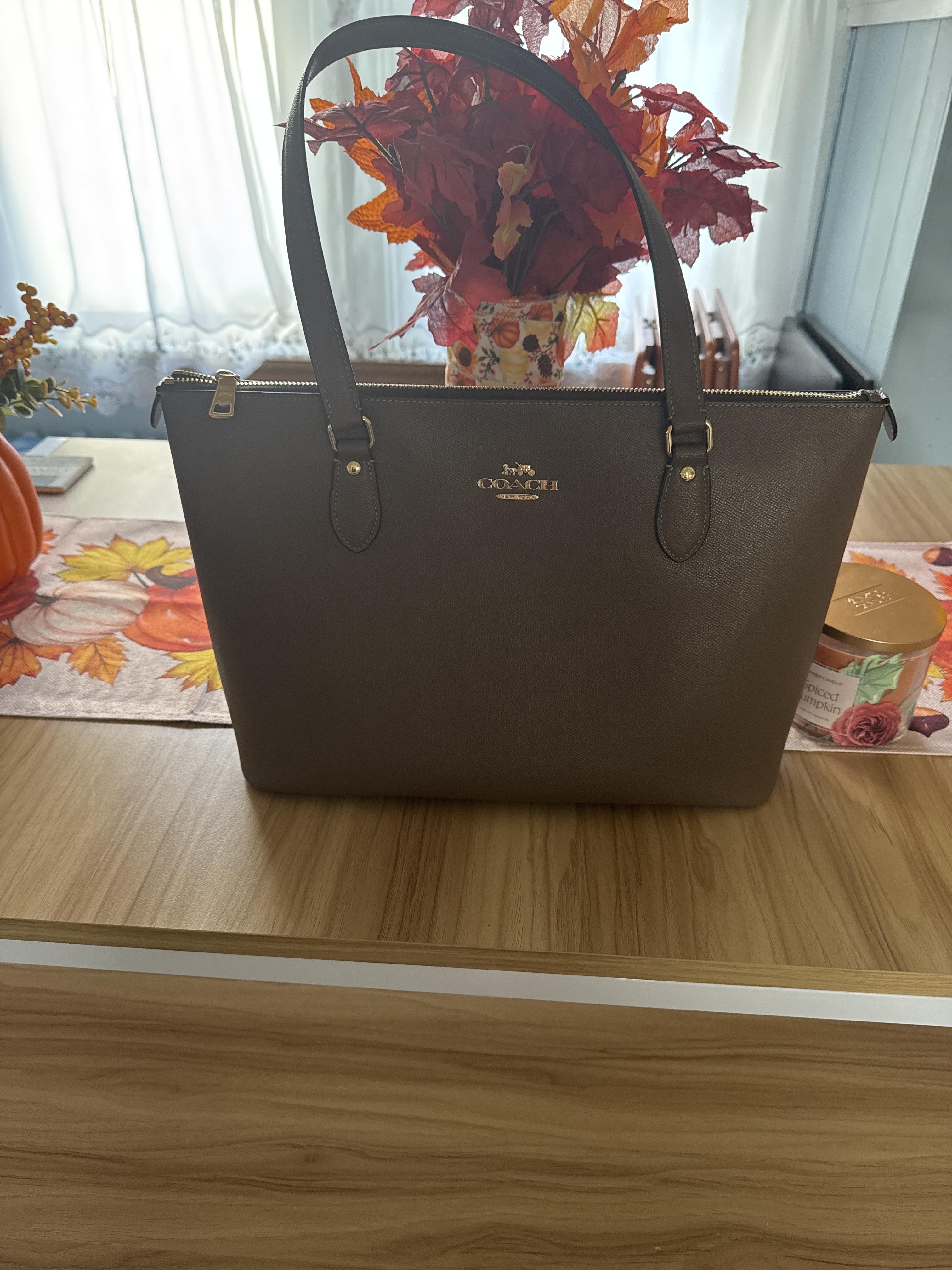 Gallery Tote Bag In Signature Canvas With Rose Print | COACH®