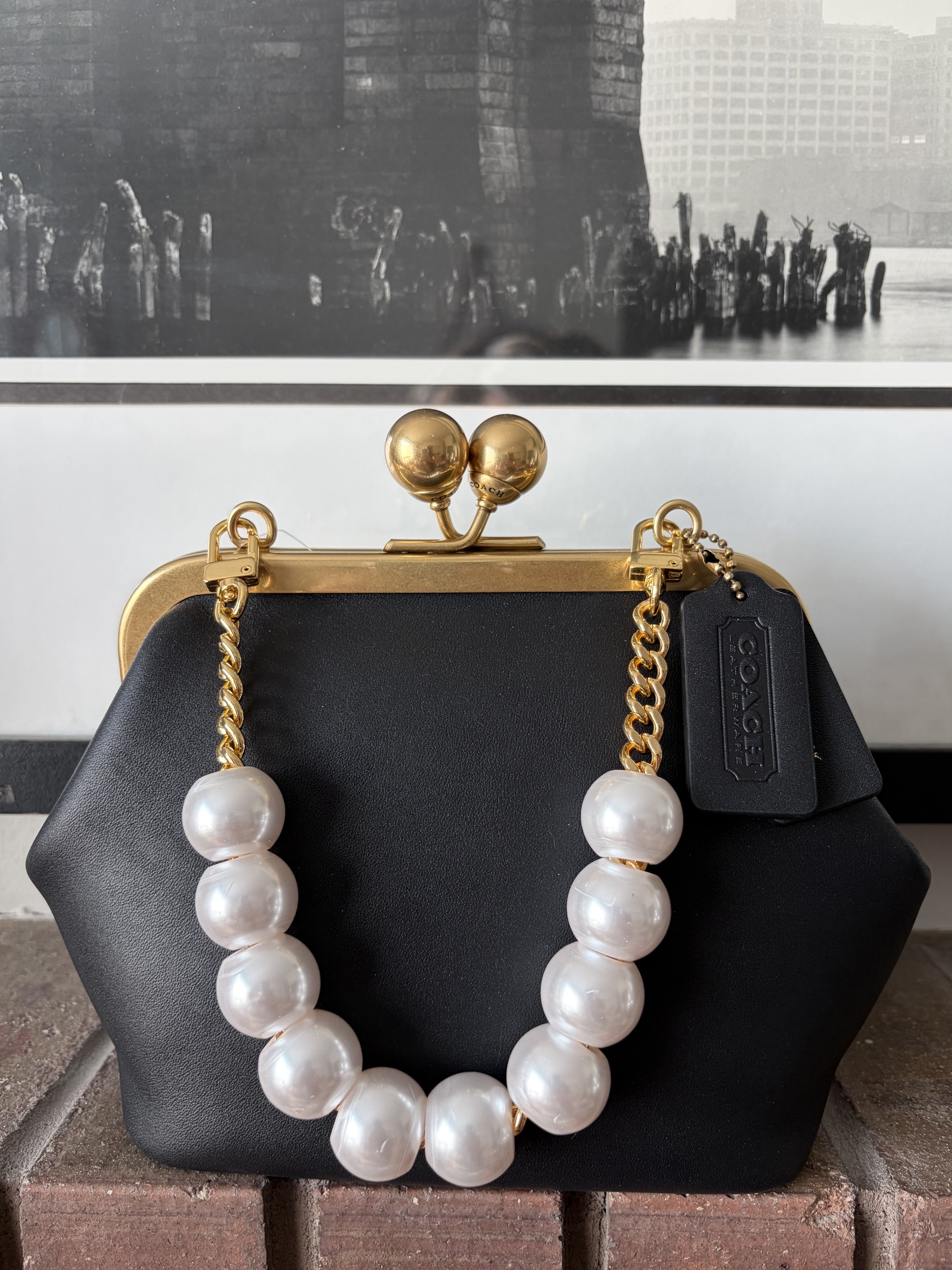 Kisslock Frame Bag 16 | Bags | Coach | COACH®
