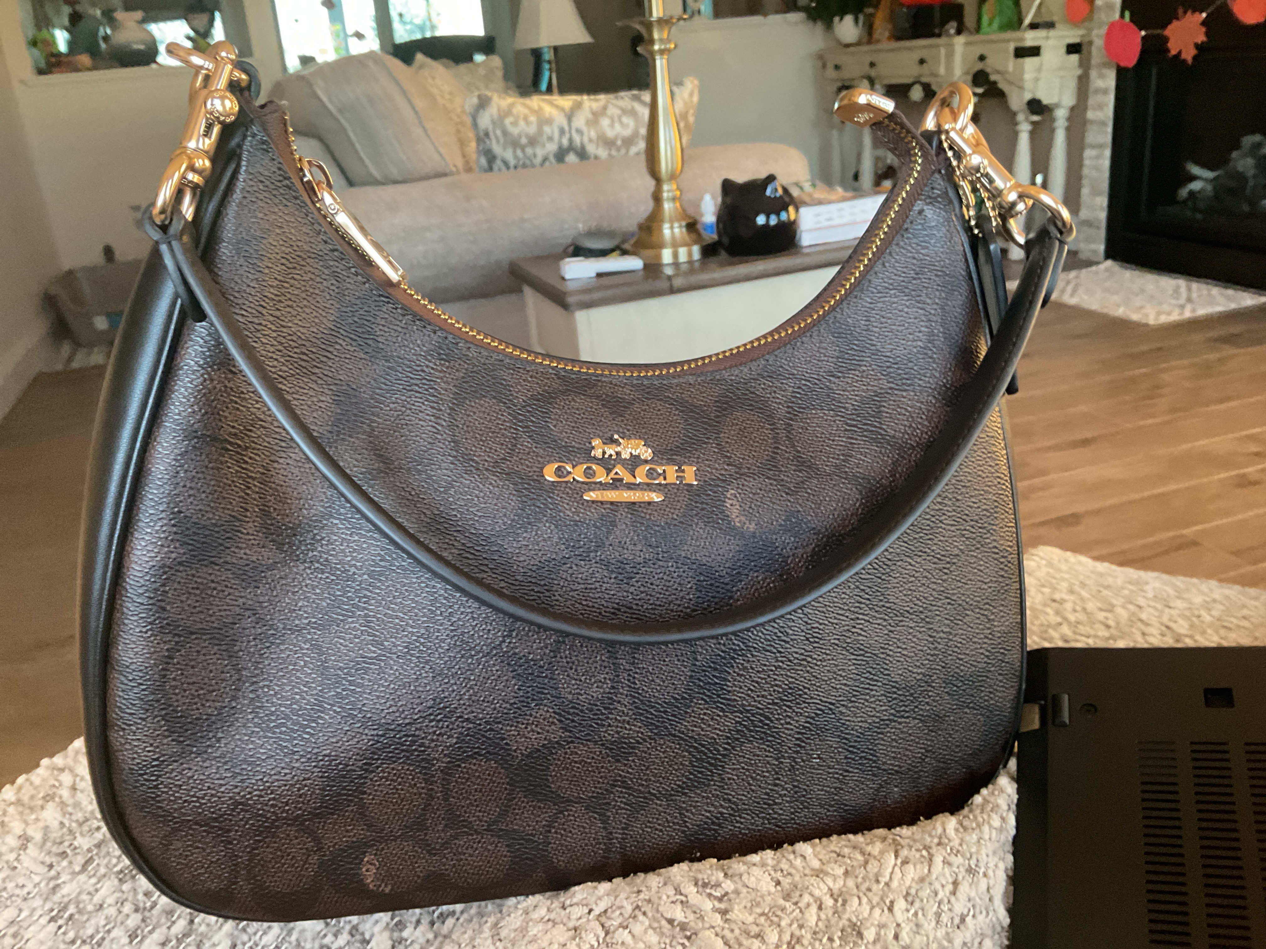 Teri Hobo Bag In Signature Canvas | Bags | Coach | COACH®