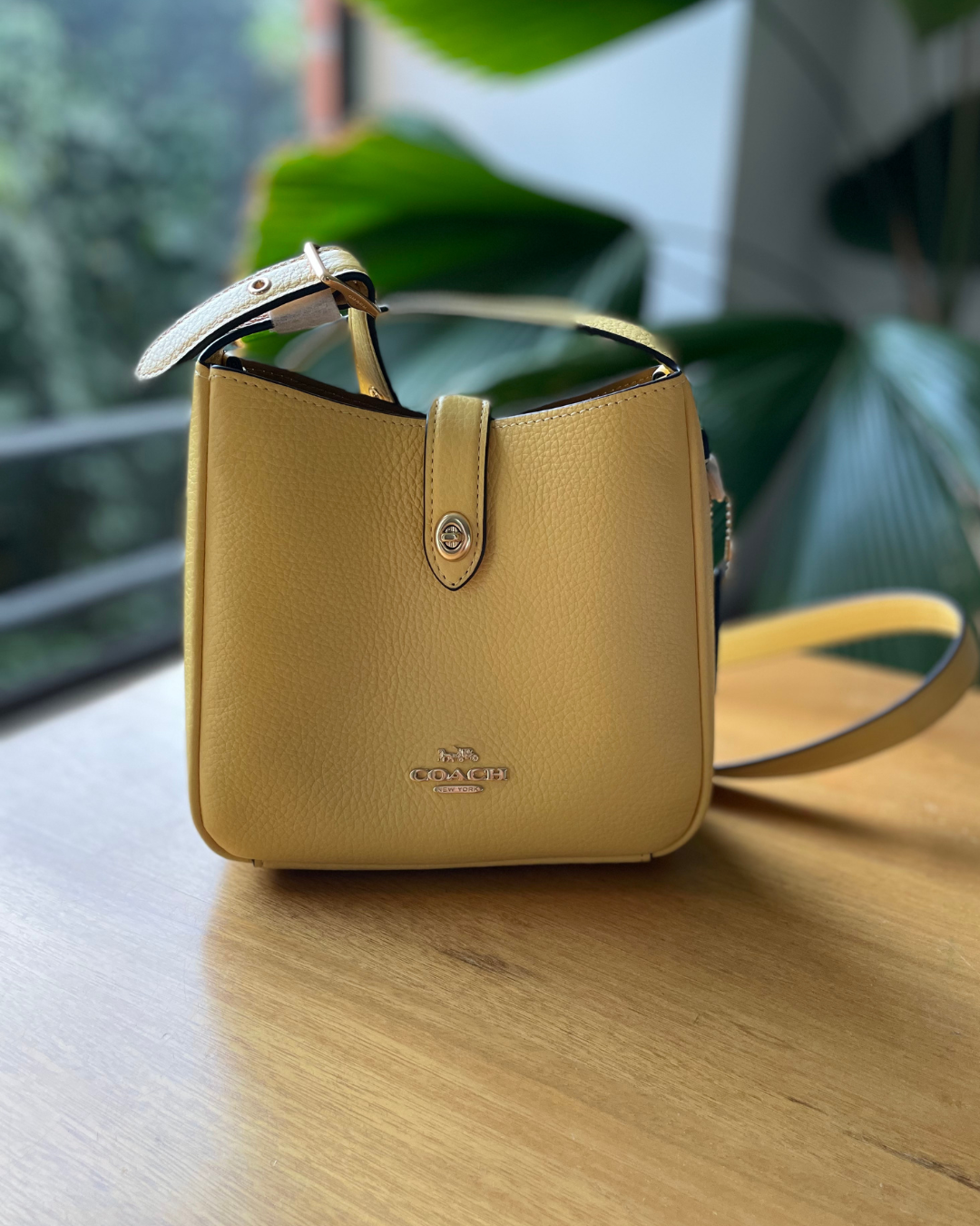 Hadley Mini Crossbody Bag | Bags | Coach | COACH®