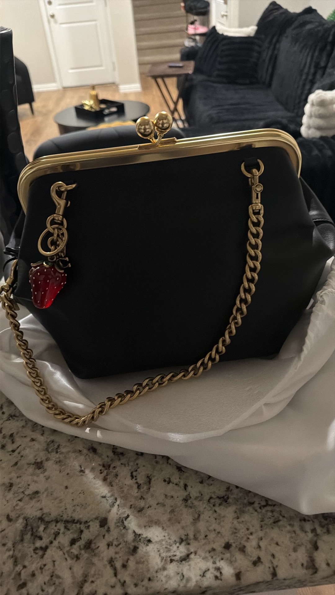 Kisslock Frame Bag 27 | Bags | Coach | COACH®