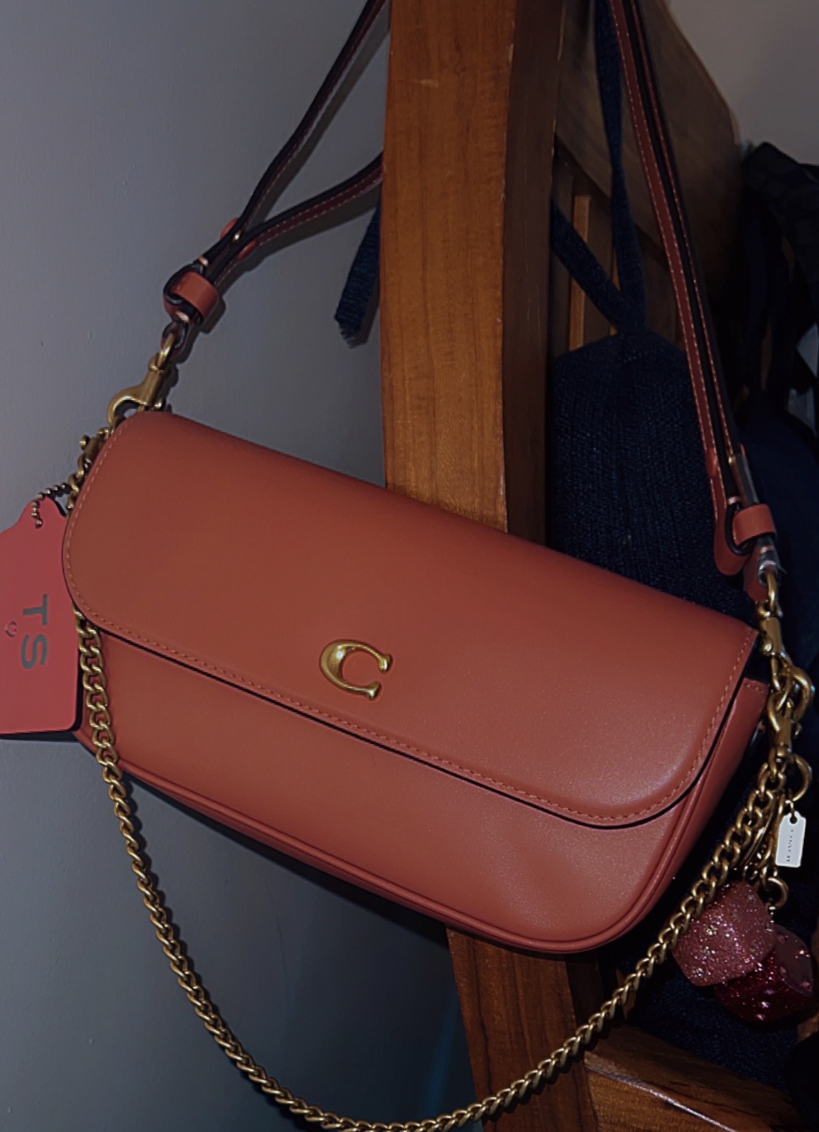 Brook Flap Chain Bag In Signature Canvas | Bags | Coach | COACH®