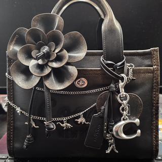 Loop Bag Charm | Accessories | Coach | COACH®