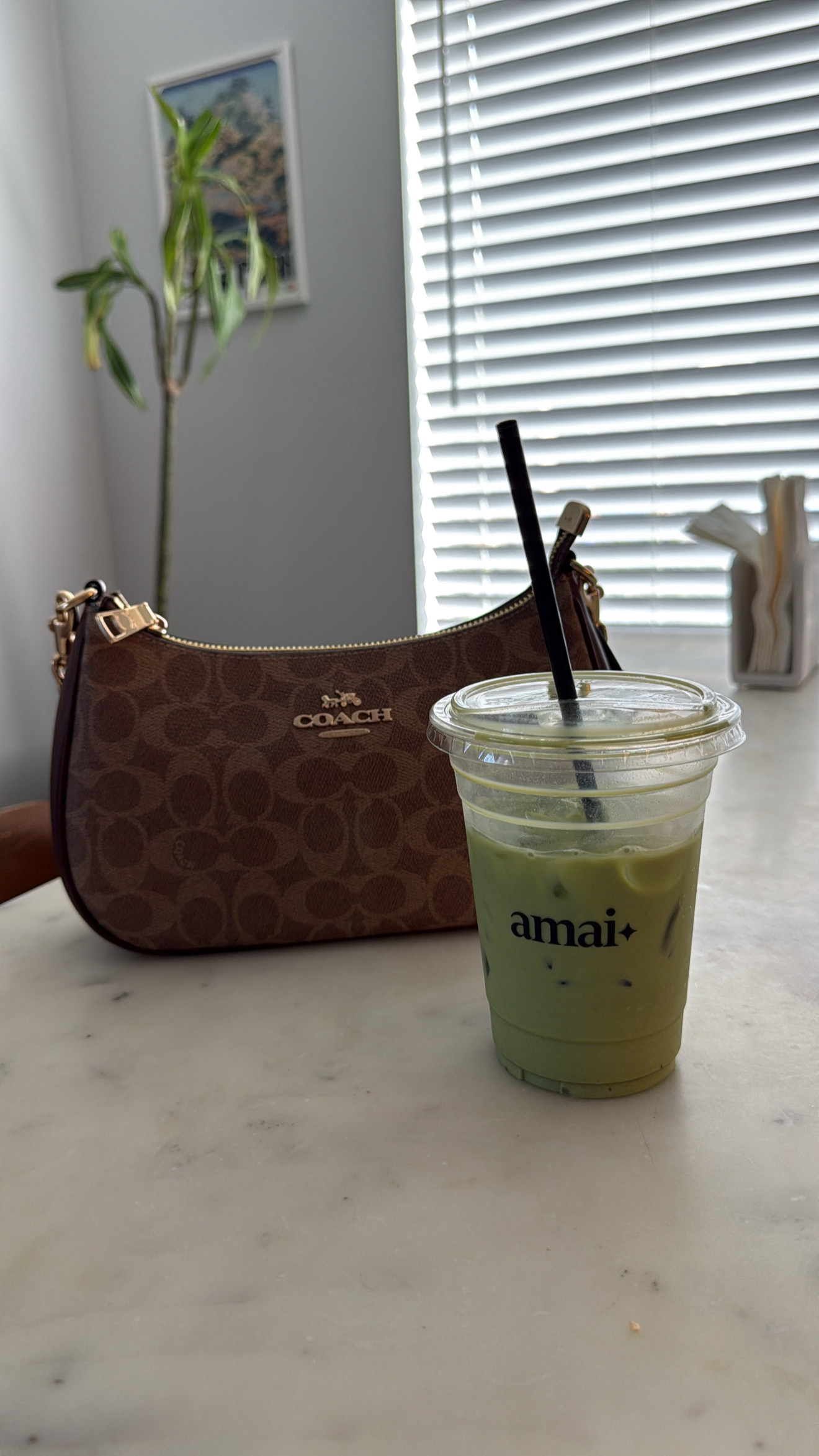Teri Shoulder Bag In Signature Canvas | Bags | Coach | COACH®