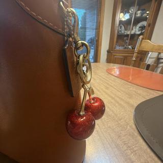 Cherry Bag Charm | COACH®