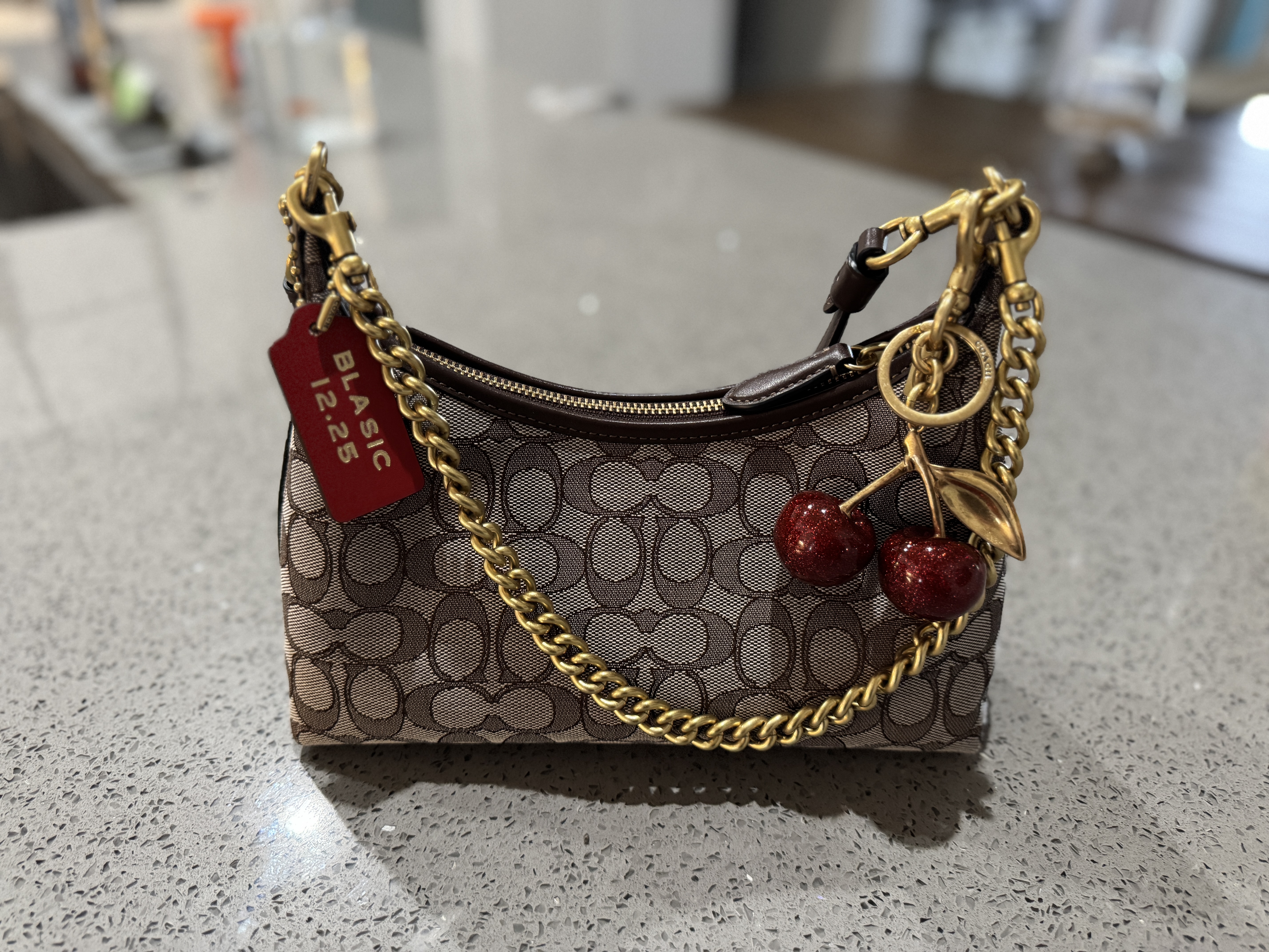 Juliet Shoulder Bag 25 In Signature Jacquard | Bags | Coach | COACH®