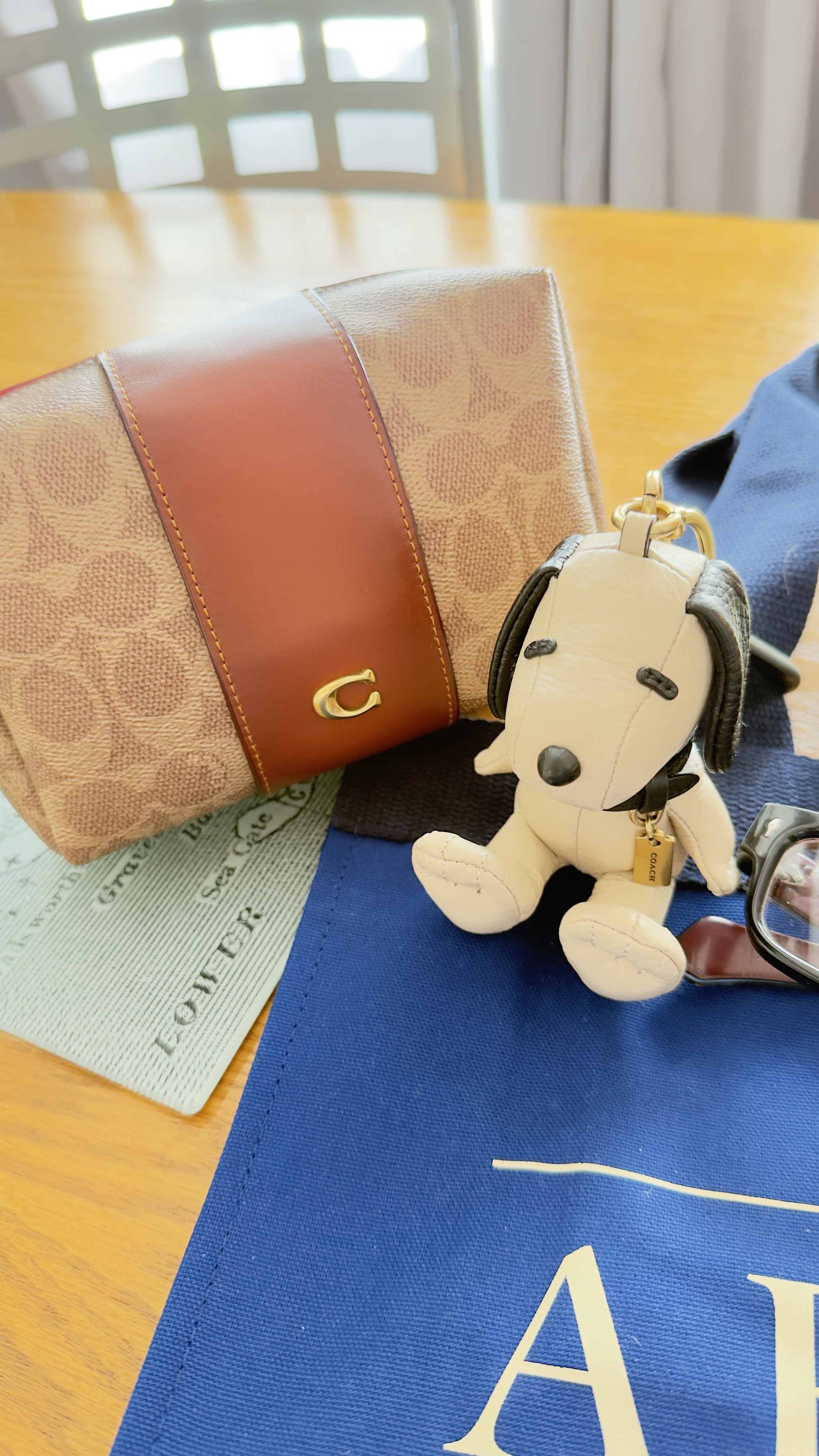 Essential Cosmetic Pouch In Signature Canvas | Accessories | Coach