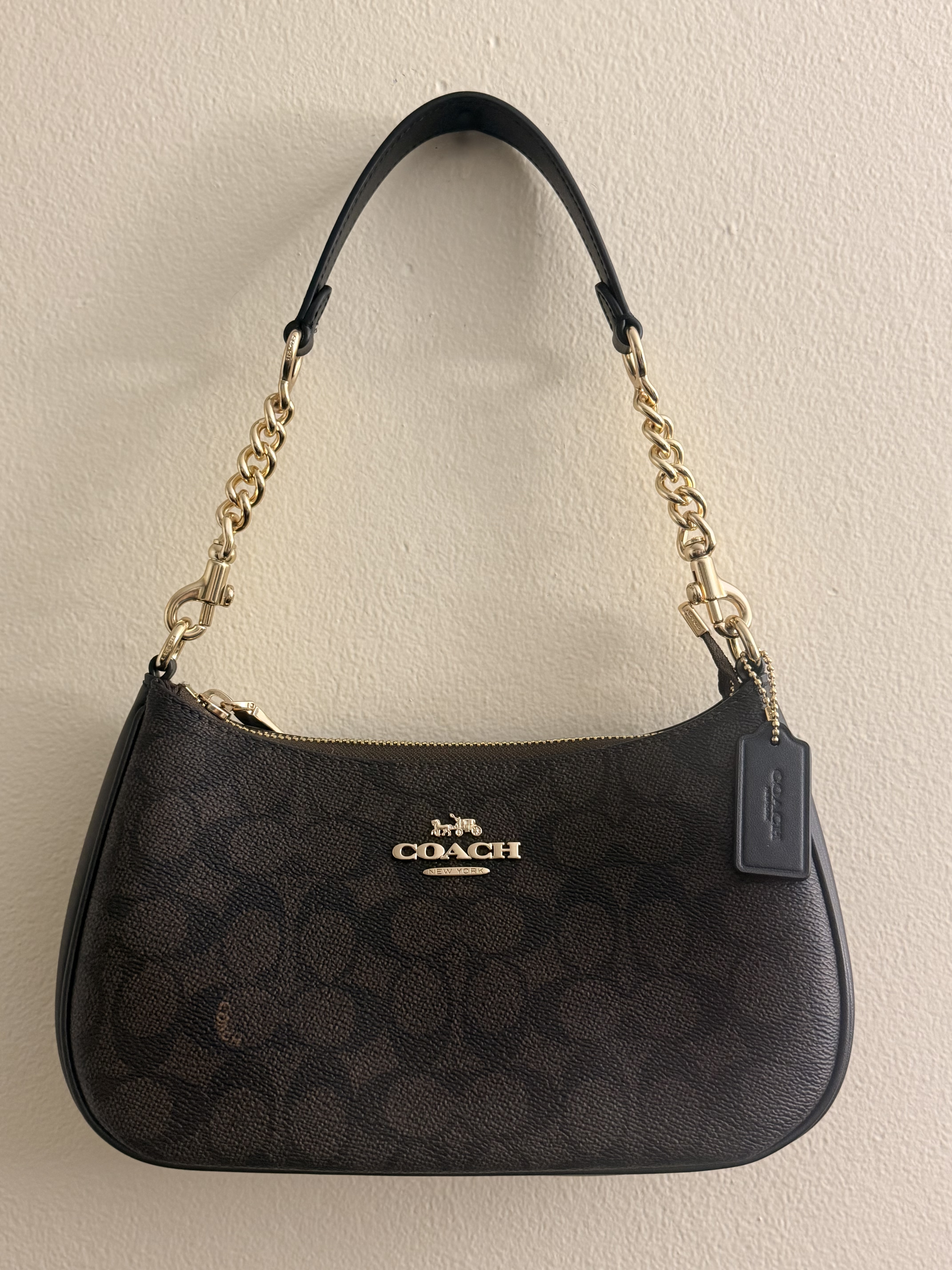 Teri Shoulder Bag In Signature Canvas | Bags | Coach | COACH®