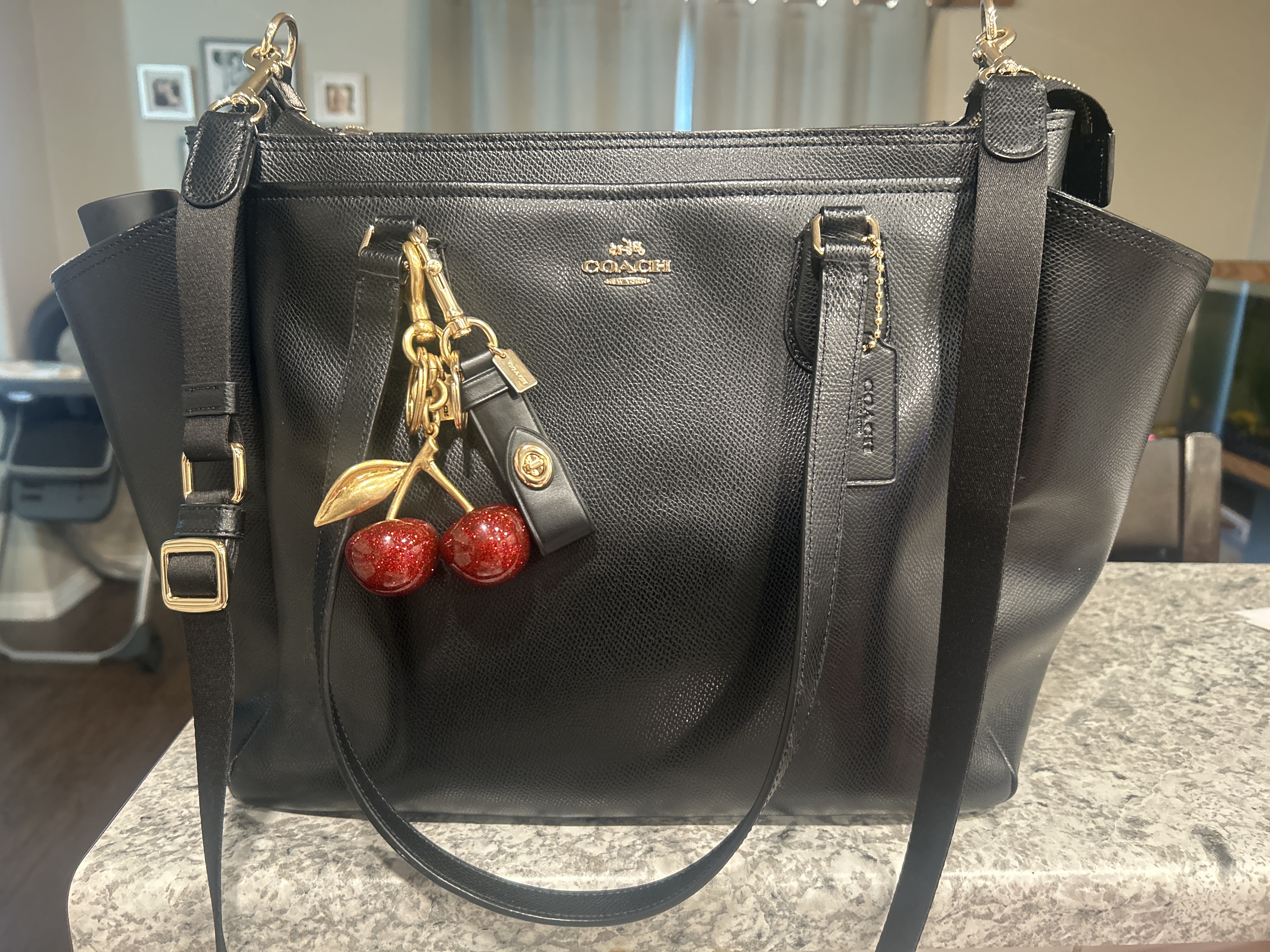 Trigger Snap Bag Charm | Accessories | Coach | COACH®