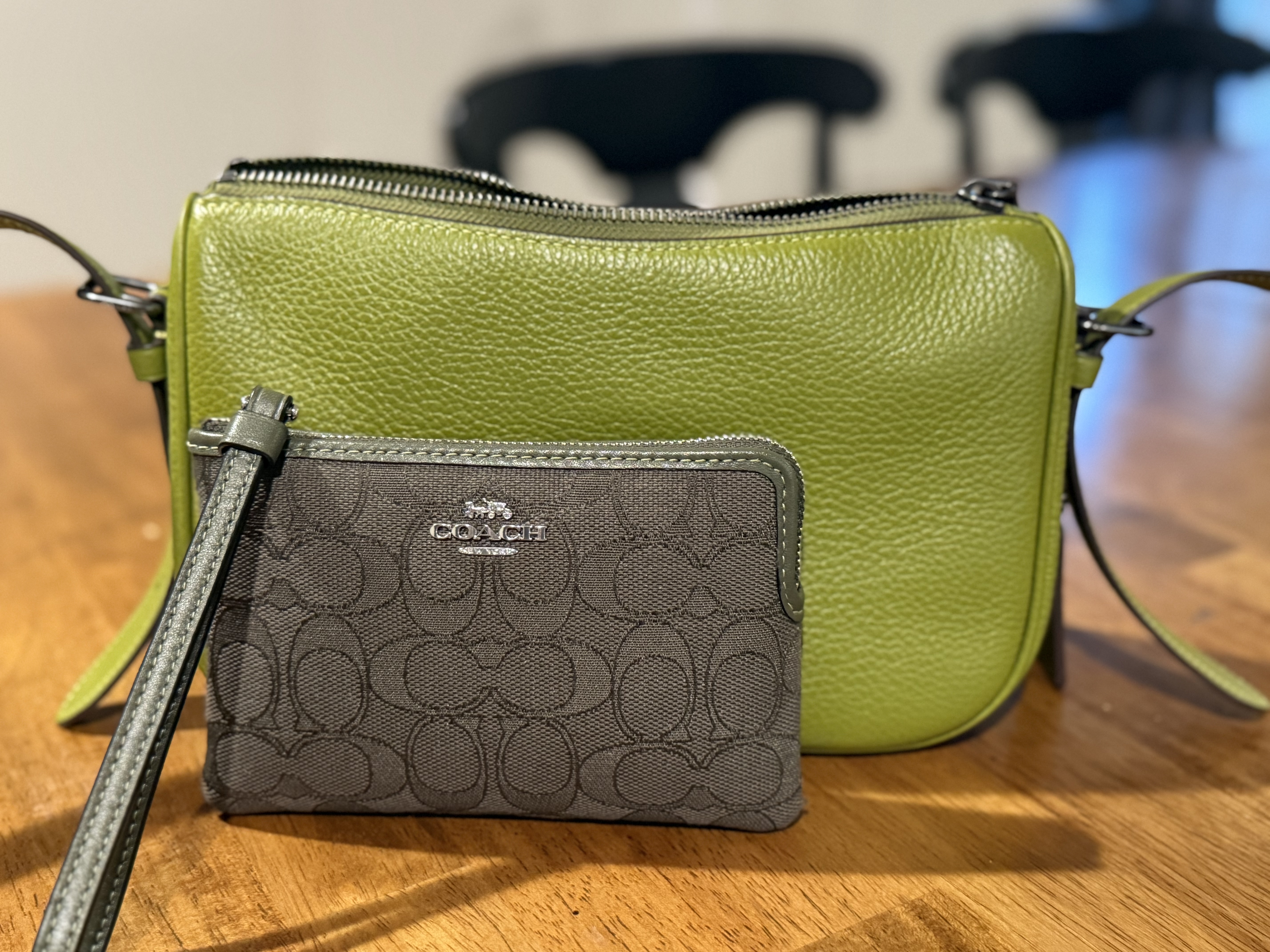 Corner Zip Wristlet With Popsicle Print | COACH®