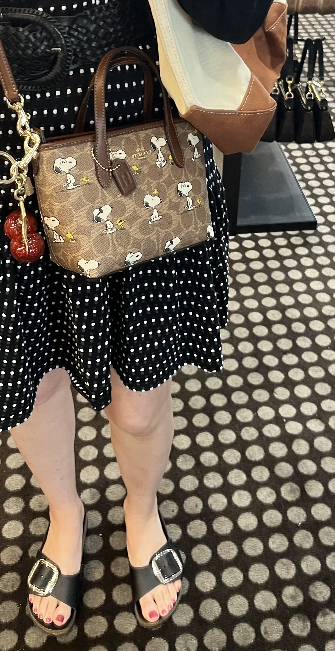 Coach X Peanuts City Mini Tote Bag In Signature Canvas With Snoopy 