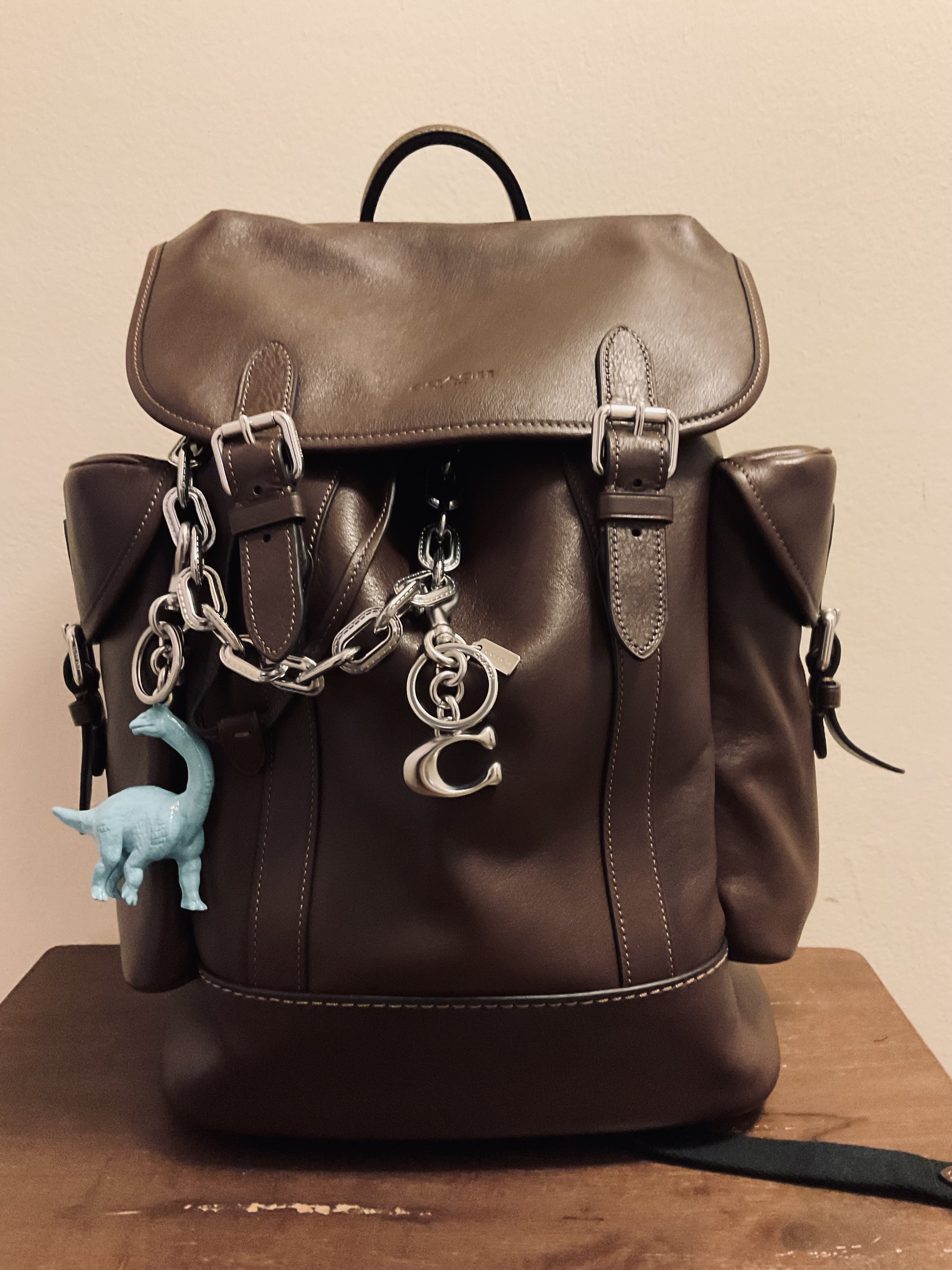 Hitch Backpack In Signature Canvas With Patches | Bags 
