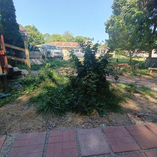 Submitted by Granny Kim