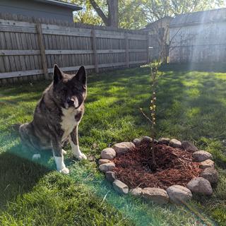 Submitted by Vee P