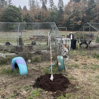 Submitted by KAREN S