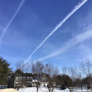 Submitted by ELLEN S