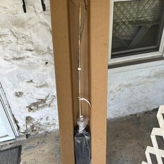 Submitted by WILLIAM H